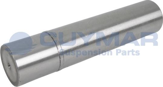 Cuymar 5908406 - Ремкомплект, шкворень поворотного кулака autospares.lv