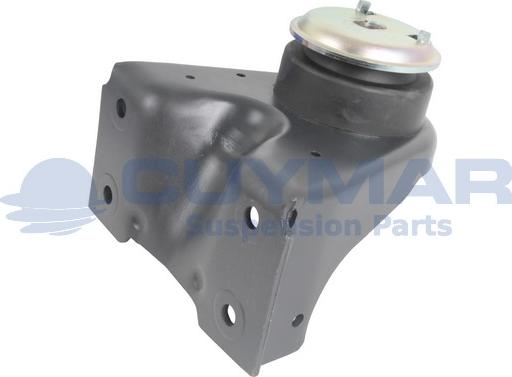 Cuymar 1108317 - Подушка, опора, подвеска двигателя autospares.lv