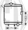 Diederichs DCM1498 - Радиатор, охлаждение двигателя autospares.lv