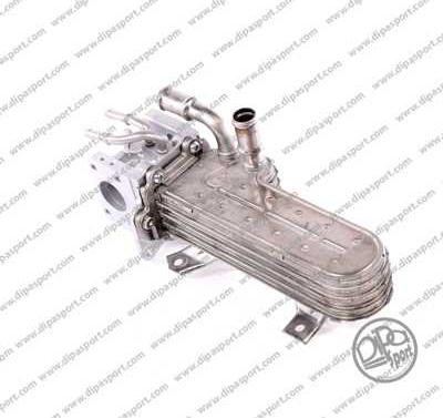 Dipasport EGR321DPSN - Радиатор, рециркуляция ОГ autospares.lv