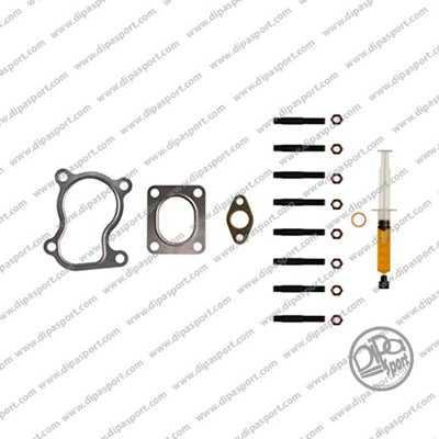 Dipasport TRBKIT006N - Установочный комплект, турбокомпрессор autospares.lv