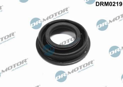 Dr.Motor DRM0219 - Уплотнительное кольцо, инжектор autospares.lv