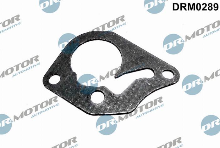 Dr.Motor DRM0289 - Прокладка, вакуумный насос autospares.lv