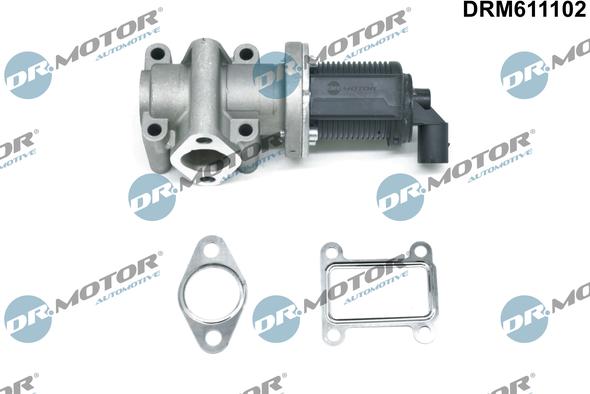 Dr.Motor Automotive DRM611102 - Клапан возврата ОГ autospares.lv
