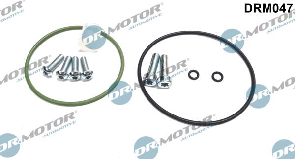 Dr.Motor Automotive DRM047 - Ремкомплект, вакуумный насос (тормозная установка) autospares.lv