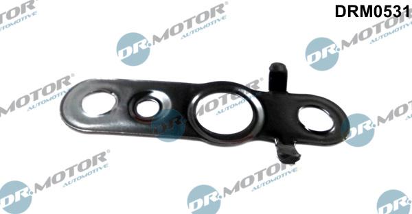 Dr.Motor Automotive DRM0531 - Прокладка, топливопровод autospares.lv