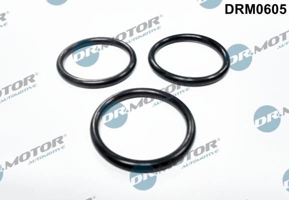 Dr.Motor Automotive DRM0605 - Прокладка, водяной насос autospares.lv