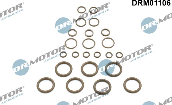 Dr.Motor Automotive DRM01106 - Ремонтный комплект, кондиционер autospares.lv