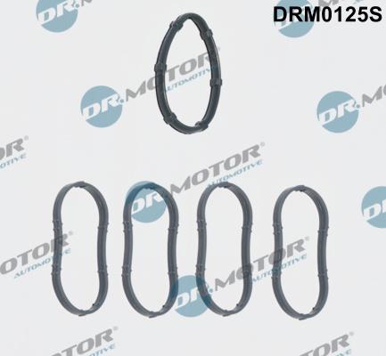 Dr.Motor Automotive DRM0125S - Комплект прокладок, впускной коллектор autospares.lv