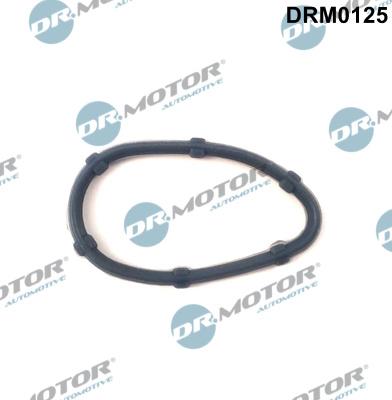 Dr.Motor Automotive DRM0125 - Прокладка, вентиляция картера autospares.lv