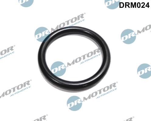 Dr.Motor Automotive DRM024 - Прокладка, фланец охлаждающей жидкости autospares.lv