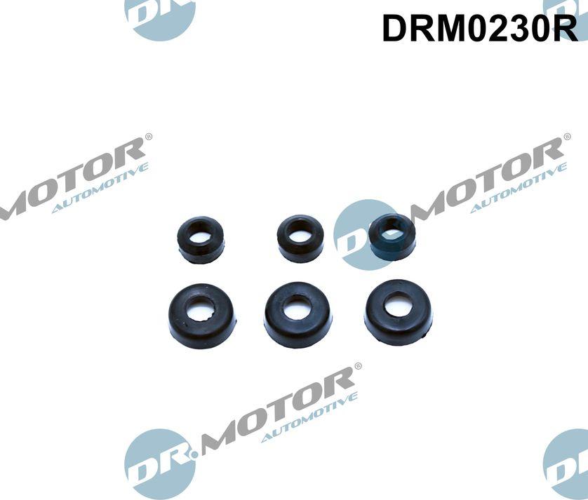 Dr.Motor Automotive DRM0230R - Прокладка, болт крышка головки цилиндра autospares.lv