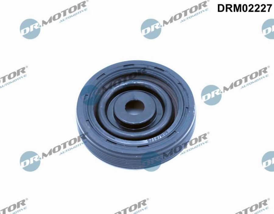 Dr.Motor Automotive DRM02227 - Уплотняющее кольцо, коленчатый вал autospares.lv