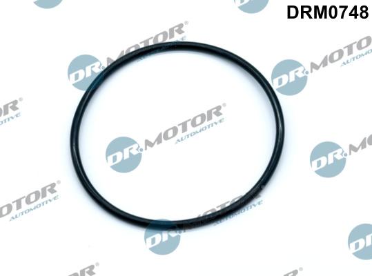 Dr.Motor Automotive DRM0748 - Прокладка, вакуумный насос autospares.lv