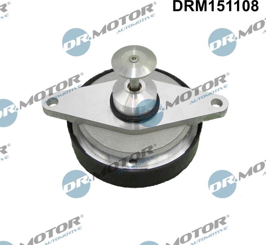 Dr.Motor Automotive DRM151108 - Клапан возврата ОГ autospares.lv