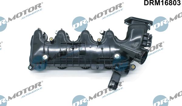 Dr.Motor Automotive DRM16803 - Модуль впускной трубы autospares.lv