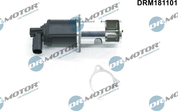 Dr.Motor Automotive DRM181101 - Клапан возврата ОГ autospares.lv