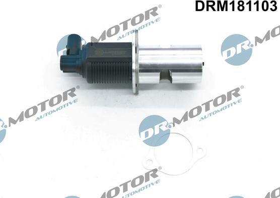 Dr.Motor Automotive DRM181103 - Клапан возврата ОГ autospares.lv