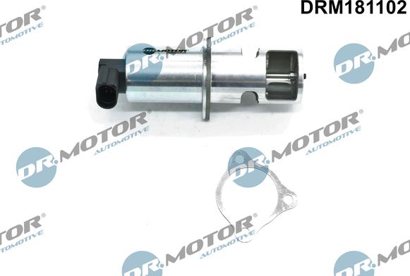 Dr.Motor Automotive DRM181102 - Клапан возврата ОГ autospares.lv