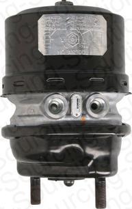 DSS 560098 - Комбинированный тормозной цилиндр autospares.lv