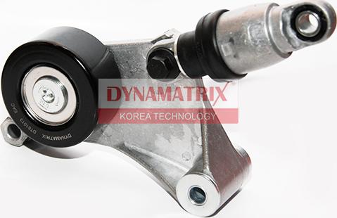 Dynamatrix DT61013 - Ролик, поликлиновый ремень autospares.lv
