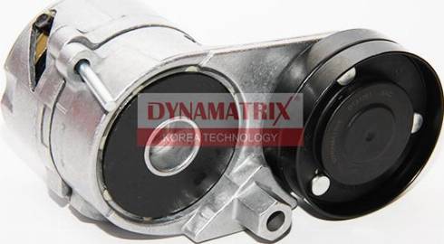 Dynamatrix DT31061 - Ролик, поликлиновый ремень autospares.lv