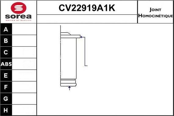 EAI CV22919A1K - Шарнирный комплект, ШРУС, приводной вал autospares.lv