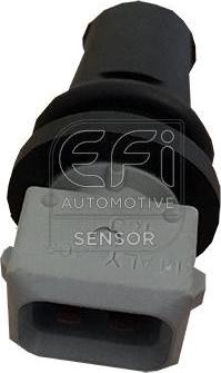 EFI 295196 - Датчик, температура впускаемого воздуха autospares.lv