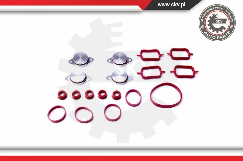 Esen SKV 96SKV053 - Комплект прокладок, впускной коллектор autospares.lv