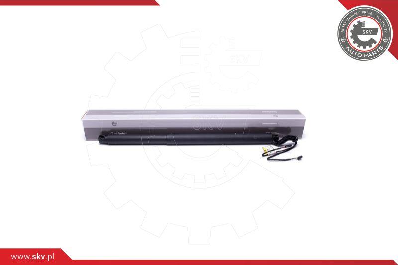 Esen SKV 52SKV942 - Электромотор, задняя дверь autospares.lv