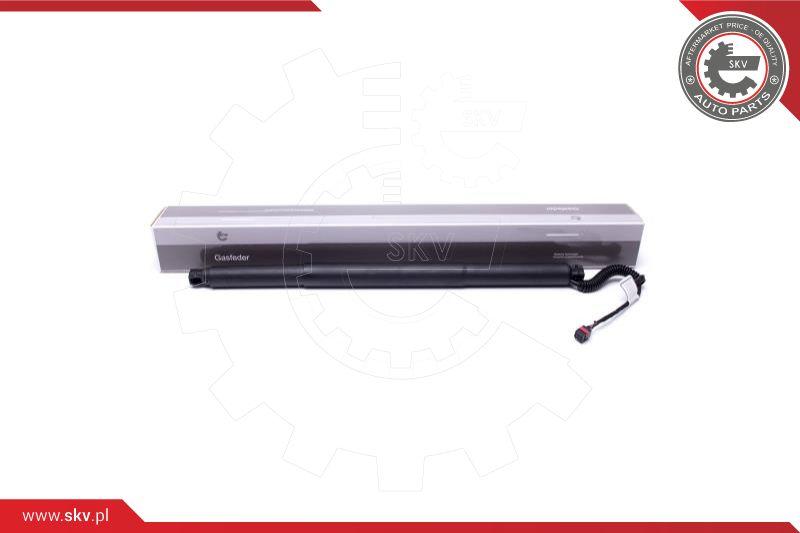 Esen SKV 52SKV904 - Электромотор, задняя дверь autospares.lv