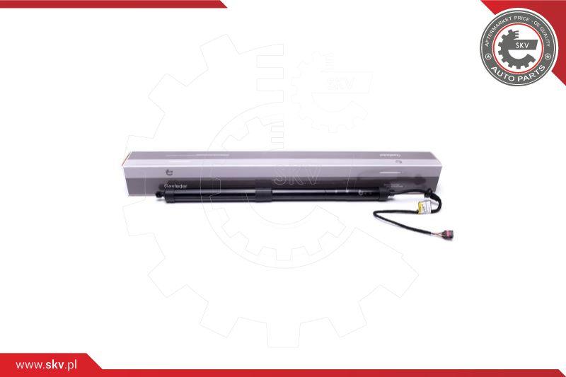 Esen SKV 52SKV902 - Электромотор, задняя дверь autospares.lv