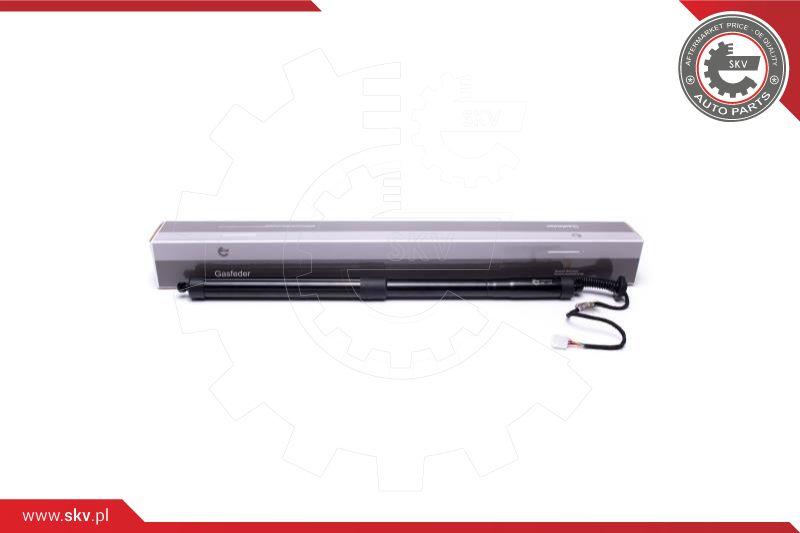 Esen SKV 52SKV915 - Электромотор, задняя дверь autospares.lv