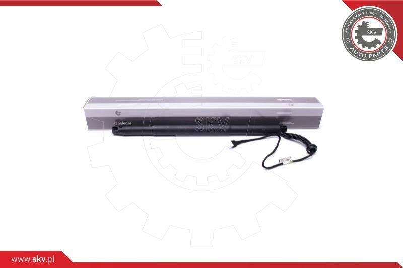 Esen SKV 52SKV936 - Электромотор, задняя дверь autospares.lv