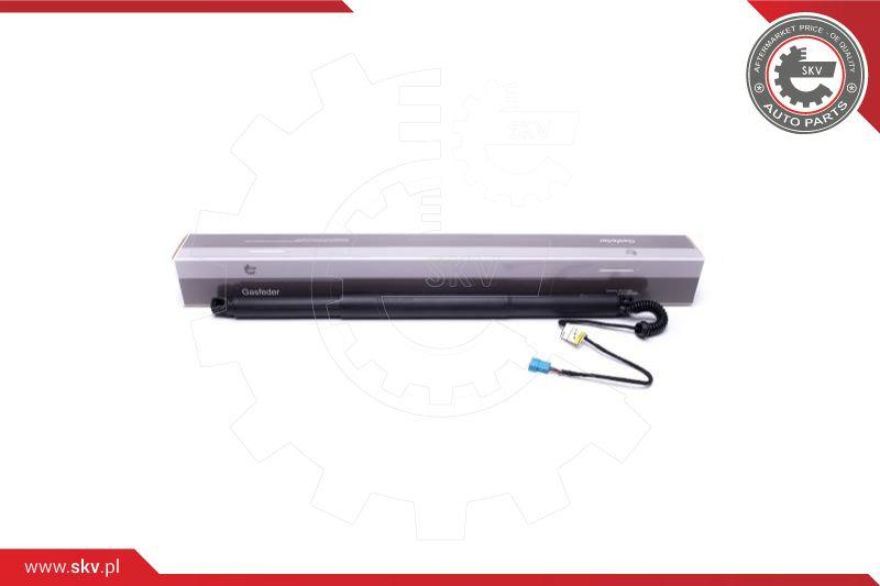 Esen SKV 52SKV932 - Электромотор, задняя дверь autospares.lv