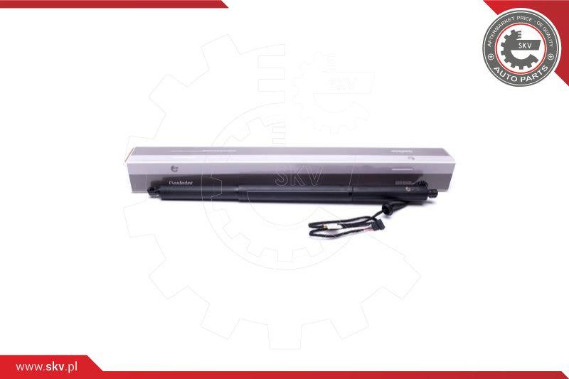 Esen SKV 52SKV929 - Электромотор, задняя дверь autospares.lv