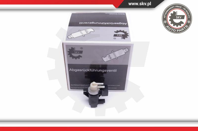 Esen SKV 14SKV915 - Преобразователь давления, турбокомпрессор autospares.lv