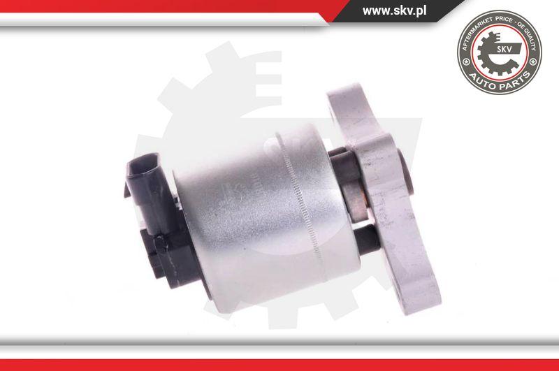 Esen SKV 14SKV004 - Клапан возврата ОГ autospares.lv