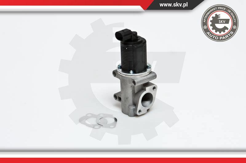 Esen SKV 14SKV006 - Клапан возврата ОГ autospares.lv