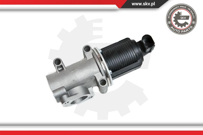 Esen SKV 14SKV006 - Клапан возврата ОГ autospares.lv