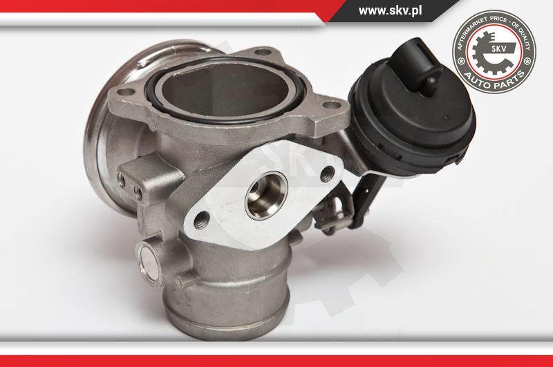 Esen SKV 14SKV020 - Клапан возврата ОГ autospares.lv