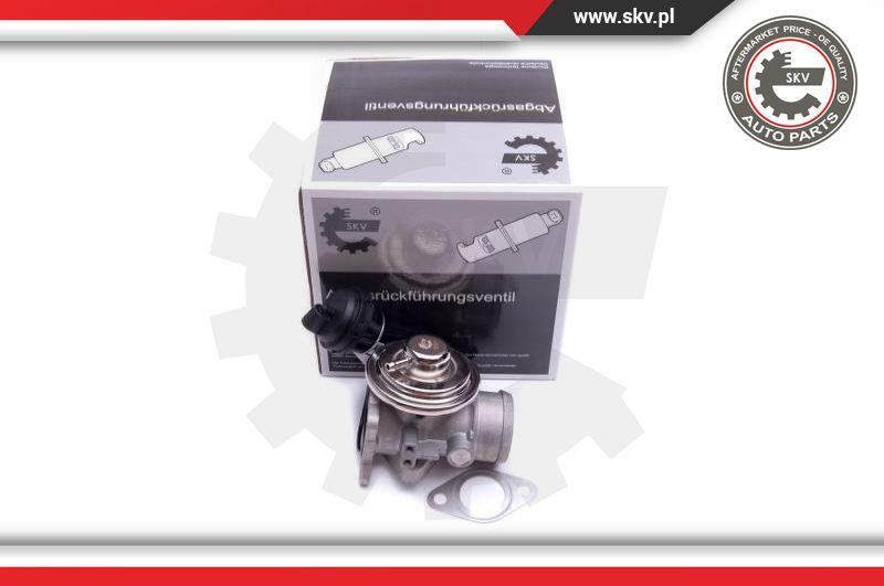 Esen SKV 14SKV206 - Клапан возврата ОГ autospares.lv