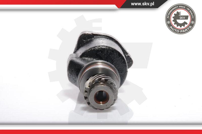 Esen SKV 18SKV001 - Вакуумный насос, тормозная система autospares.lv