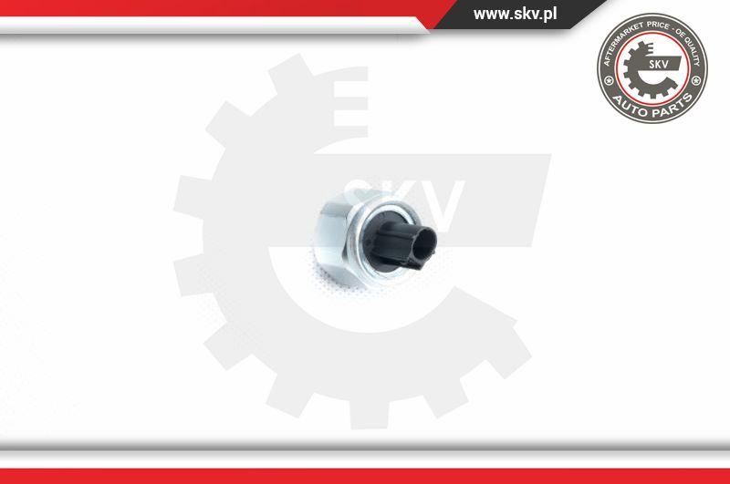 Esen SKV 17SKV360 - Датчик детонации autospares.lv