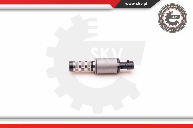 Esen SKV 39SKV001 - Регулирующий клапан, выставление распределительного вала autospares.lv