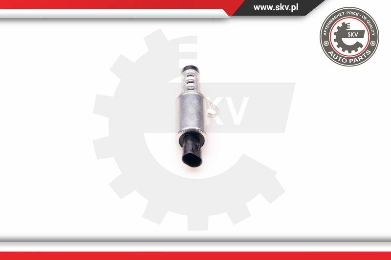 Esen SKV 39SKV008 - Регулирующий клапан, выставление распределительного вала autospares.lv