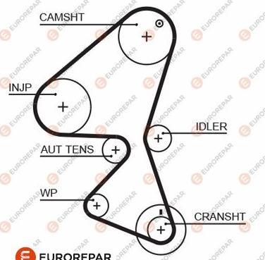 EUROREPAR 1633144080 - Зубчатый ремень ГРМ autospares.lv