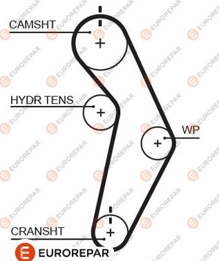 EUROREPAR 1633141280 - Зубчатый ремень ГРМ autospares.lv