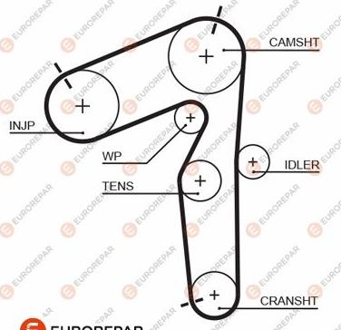 EUROREPAR 1633139480 - Зубчатый ремень ГРМ autospares.lv