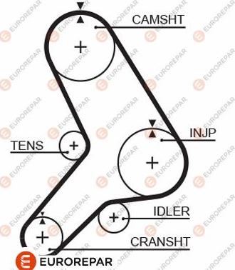 EUROREPAR 1633139080 - Зубчатый ремень ГРМ autospares.lv